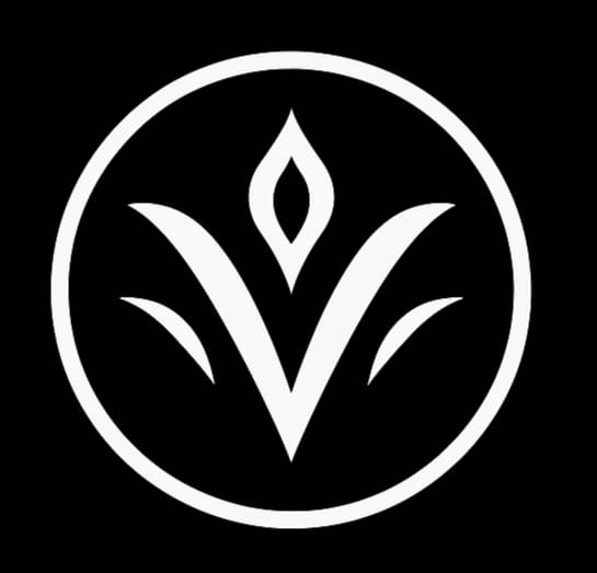 Vaynora Logo Placeholder